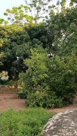 Plot with House for Sale, Mwanza Airport Road - 2