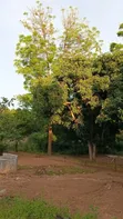 Plot with House for Sale, Mwanza Airport Road - 3