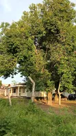 Plot with House for Sale, Mwanza Airport Road - 5