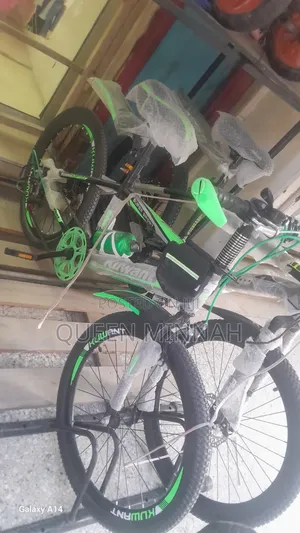 Bicycle Size 22 - Brand New