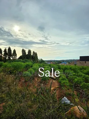 Nyamhongolo Plot for Sale (10,000 sqm)