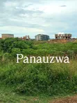 Nyamhongolo Plot for Sale (10,000 sqm) - 2