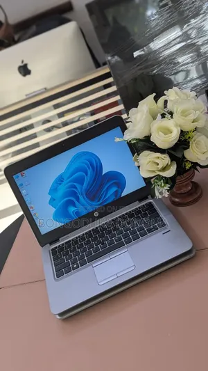 HP EliteBook 820 G3 Laptop - Intel Core i5, 8GB RAM, 500GB HDD+SSD