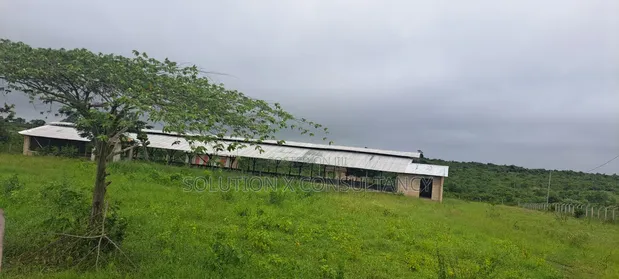 Poultry Farm for Sale - Mwavi - 1