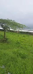 Poultry Farm for Sale - Mwavi - 2