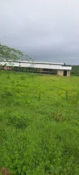 Poultry Farm for Sale - Mwavi - 3
