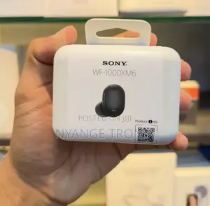 Sony WF-1000XM6 Wireless Earbuds
