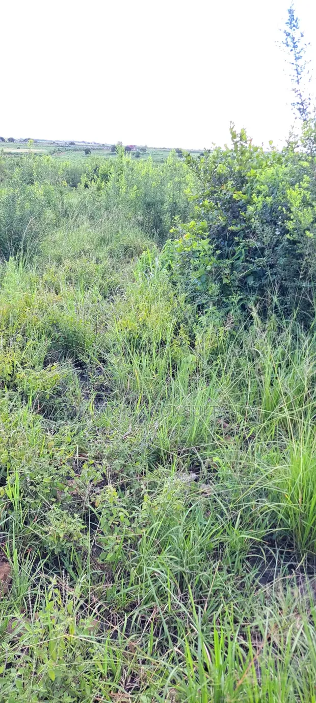 Farmland for Sale - Bago, 14 Acres - 1