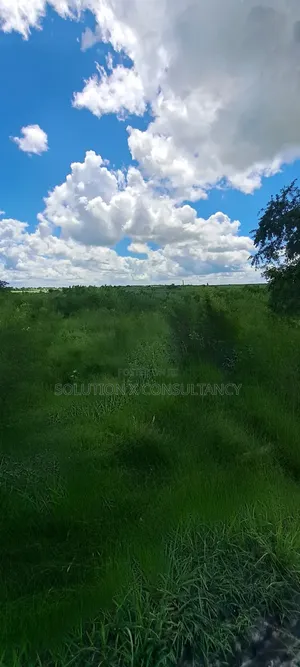 Farmland for Sale - Bago, 14 Acres