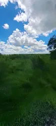 Farmland for Sale - Bago, 14 Acres - 2