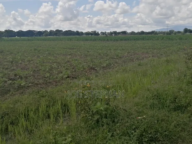Plots for Sale in Bomang'ombe, Kilimanjaro - Flexible Payment - 1