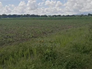 Plots for Sale in Bomang'ombe, Kilimanjaro - Flexible Payment