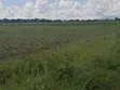 Plots for Sale in Bomang'ombe, Kilimanjaro - Flexible Payment - 1