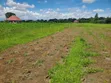 Plots for Sale in Bomang'ombe, Kilimanjaro - Flexible Payment - 2