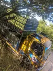 Mitsubishi Fuso Long Base Truck - 3