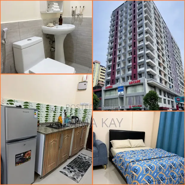 Furnished Studio Apartment for Rent in Zahra Arcade, Upanga - 1