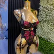 Elegant Multicolor Lingerie Set - Brand New - 1