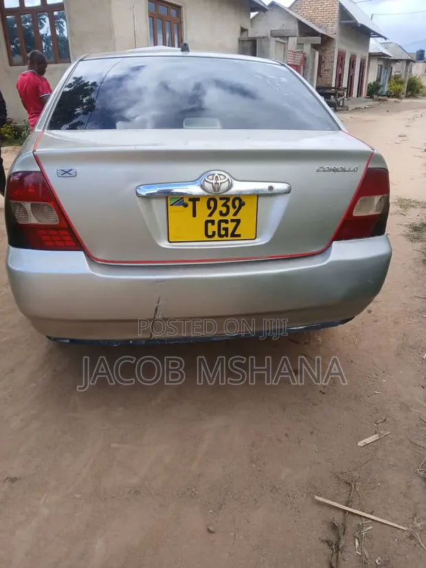 Toyota Corolla RunX 2006 Silver - 1