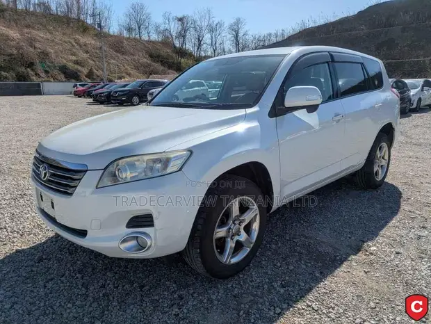 Toyota Vanguard 2008 Pearl - 1