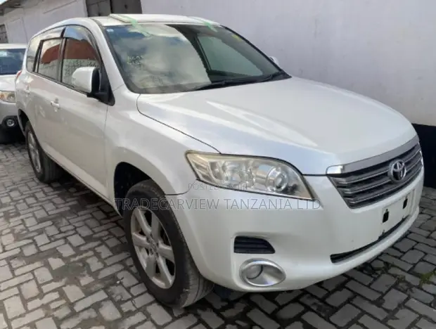 Toyota Vanguard 2009 Pearl - 1