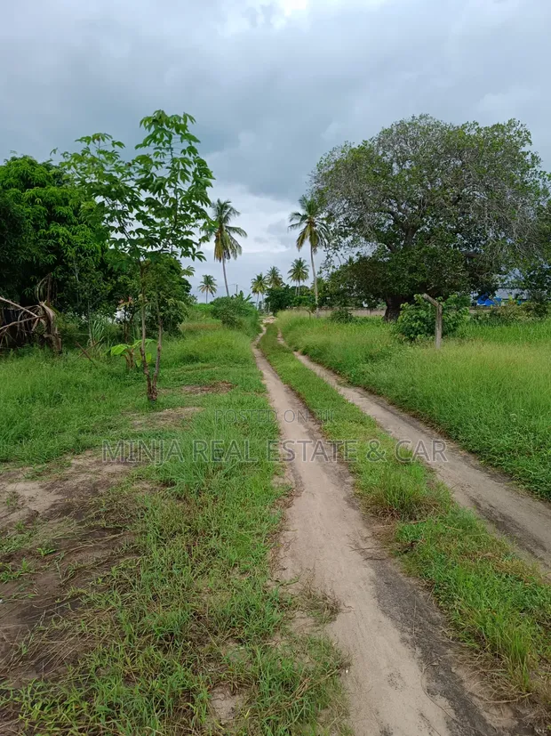 3 Connected Plots for Sale in Prime Bagamoyo Area - 1