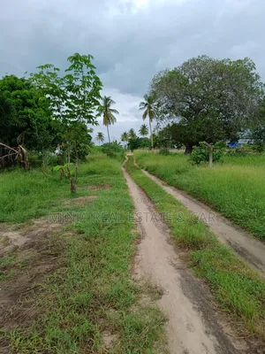 3 Connected Plots for Sale in Prime Bagamoyo Area