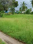3 Connected Plots for Sale in Prime Bagamoyo Area - 3