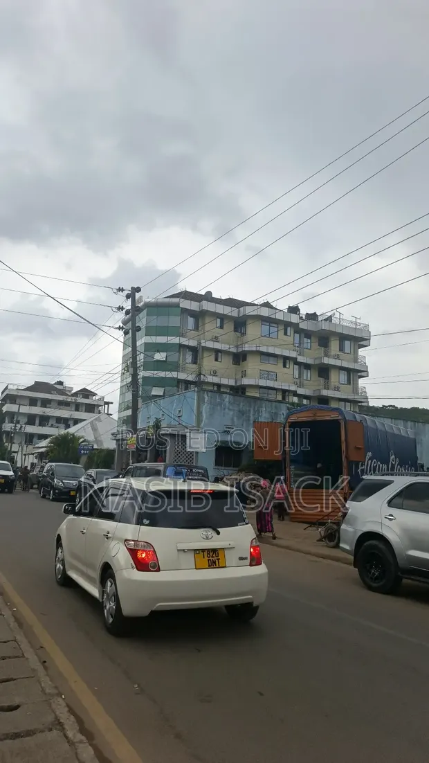 Commercial Plot with Old House for Sale, Mwanza City - 1
