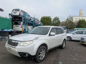 Subaru Forester 2010 Mwaka wa L Pearl