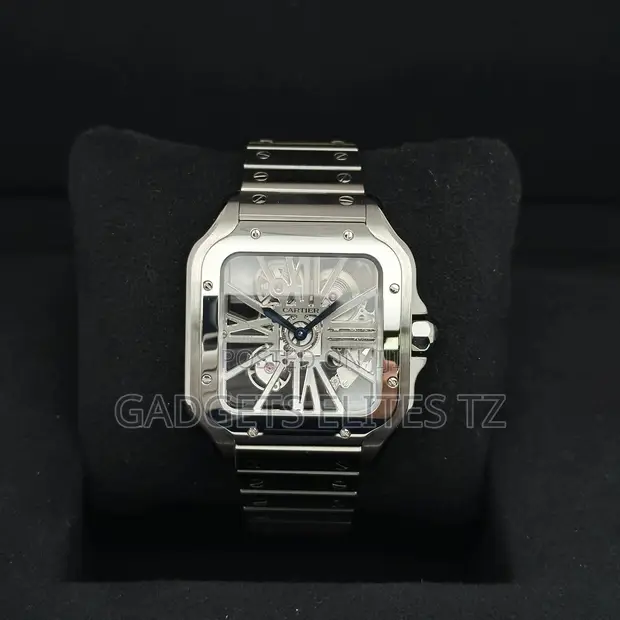 Cartier Santos De Cartier Skeleton Watch | Silver - 1