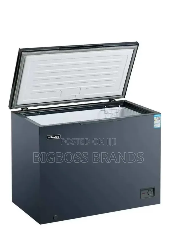 Huamei Chest Freezer 300L (HM 300) - 1