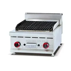 60cm 2-Burner Gas Lava Rocks Grill