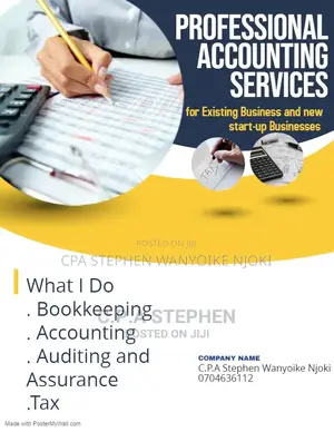 Professional Accounting & Tax Services