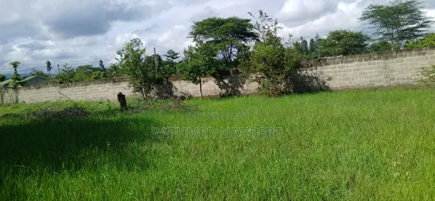 Plot for Sale in Njiro-Arusha - 1