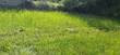 Plot for Sale in Njiro-Arusha - 4