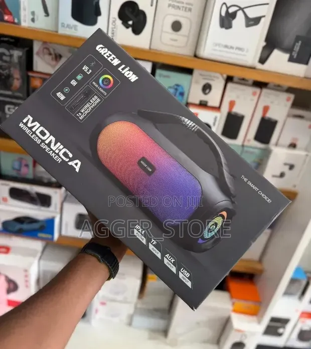 Greenlion Monica Wireless Speaker (40W) - 1