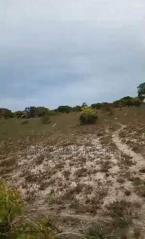 Kigamboni Buyuni Residential Plot for Sale
