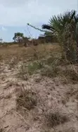 Kigamboni Buyuni Residential Plot for Sale - 2