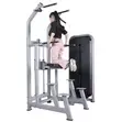 Brand New Dips and Pull Up Assist Machine - 1