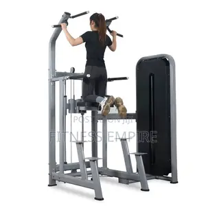 Brand New Dips and Pull Up Assist Machine