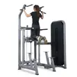 Brand New Dips and Pull Up Assist Machine - 2
