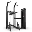 Brand New Dips and Pull Up Assist Machine - 3
