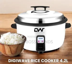 Brand New DW Rice Cooker 4.2 Liters