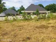 Godown 2000 SQM kwa Ajili ya Kukodisha Sinza Mori - 4