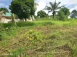 Godown 2000 SQM kwa Ajili ya Kukodisha Sinza Mori - 5