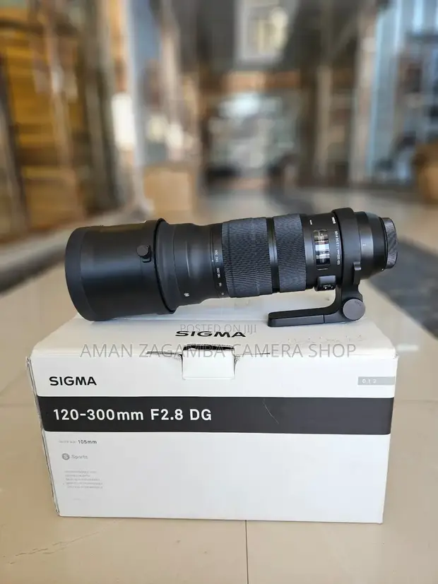 Sony 120-300mm f/2.8 E-Mount Zoom Lens - 1