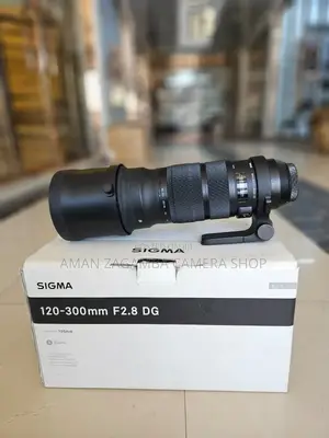 Sony 120-300mm f/2.8 E-Mount Zoom Lens