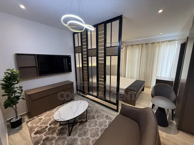 Furnished Studio Apartment for Rent in Morocco, Kinondoni - 1