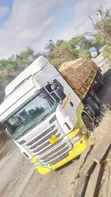 Scania R 440 Lori - 1