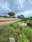 3200sqm Mixed-Use Land for Sale, Ibanda Mwanza - 1